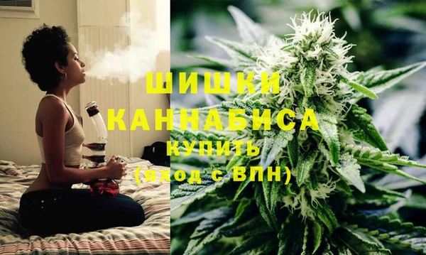 крисы Лабытнанги