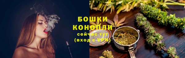 мдпв Лагань