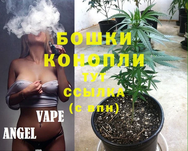 мдпв Лагань