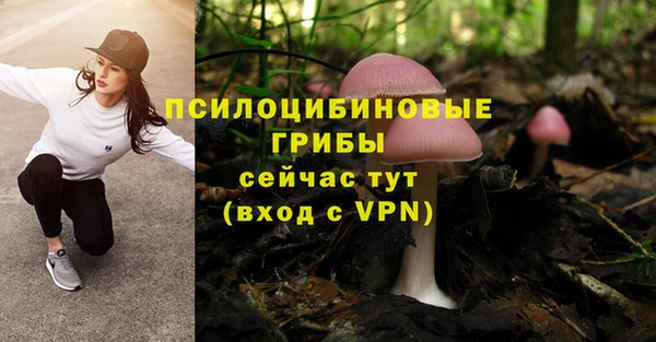 кокаин премиум Липки