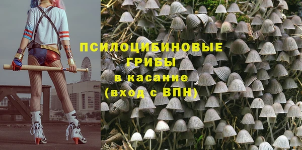 крисы Лабытнанги