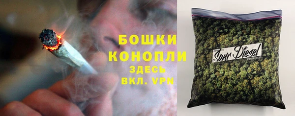 крисы Лабытнанги