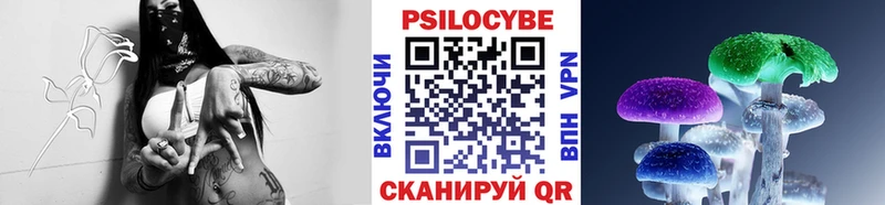 Псилоцибиновые грибы Psilocybine cubensis  omg tor  Кисловодск 