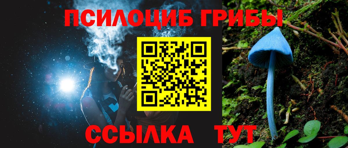 Кисловодск  Псилоцибиновые грибы прущие грибы  Псилоцибиновые грибы прущие грибы  Вход с VPN 